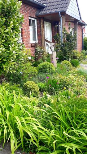 a house with a bunch of plants in front of it at Ferienwohnung am Papensee in Hohen Sprenz