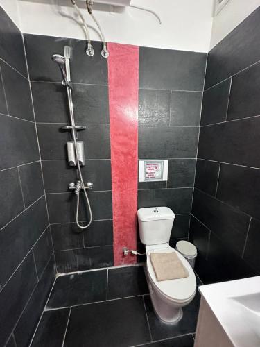 a small bathroom with a toilet and a shower at Kova2 in Alexandroupoli