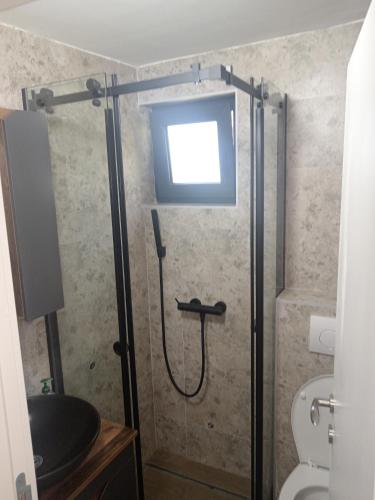a bathroom with a shower with a window and a toilet at Vikendica Coco in Gornja Toplica