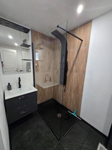 a bathroom with a shower and a sink at Marien 2 Ferienwohnung Monteuerwohnung in Eppelborn