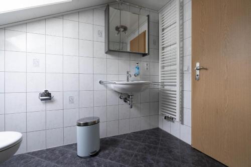 a bathroom with a sink and a toilet at Ferienhaus Fanny in Lam