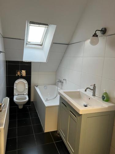 a bathroom with a sink and a toilet and a window at Avansunterkünfte für Monteure in Hamm