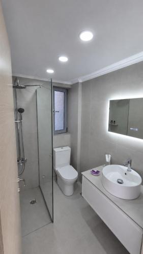 a bathroom with a toilet and a sink and a shower at Idene Penthouse in Chania