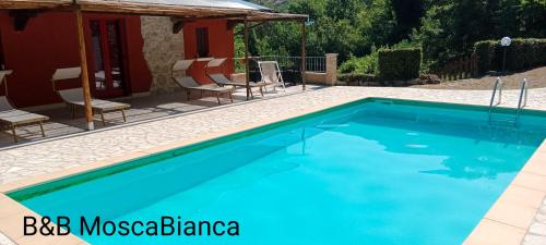 a swimming pool in front of a house at B&B Mosca Bianca in Ascoli Piceno