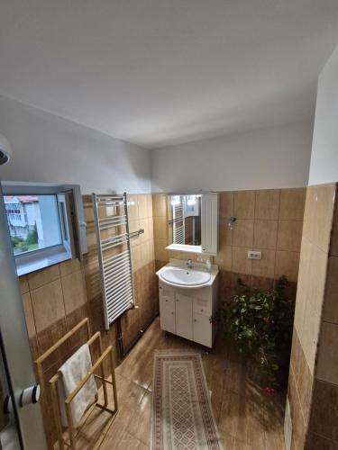 a bathroom with a sink and a mirror at Apartament Salcia Slanic Moldova in Slănic-Moldova