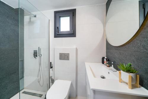 a bathroom with a shower and a toilet and a sink at Elysian Seaside Suite in Skala Kallirachis