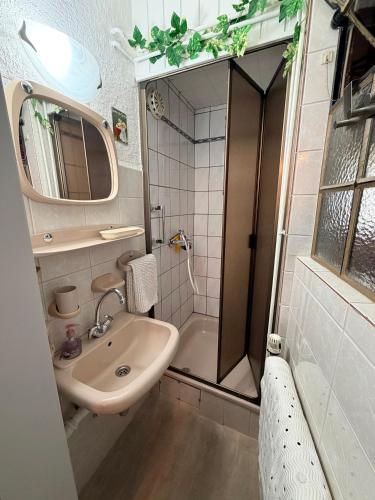 a small bathroom with a sink and a shower at Steins Hof in Suderburg