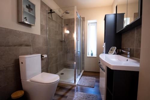 a bathroom with a shower and a toilet and a sink at Spanisches Haus in Staßfurt