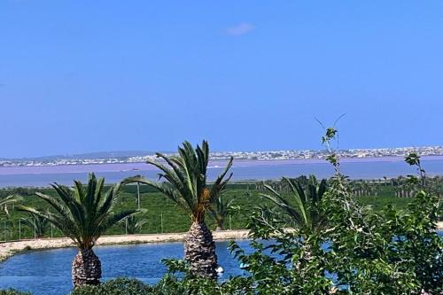 La Calienta View of the pink lagoon and swimming pool