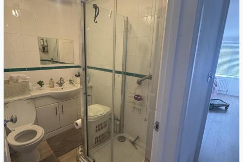 a bathroom with a shower and a toilet and a sink at Studio - Sleeps 2 - Wifi - Parking in Dunstable