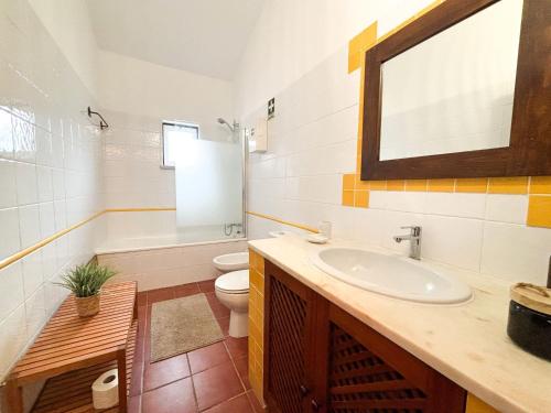 ein Badezimmer mit Waschbecken, Toilette und Spiegel in der Unterkunft Monte da Eira Nova in Avis