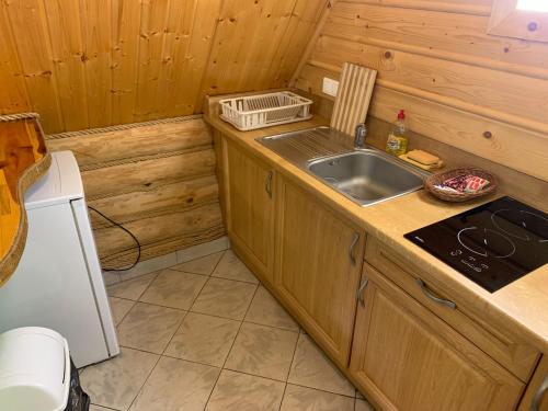 a kitchen with a sink and a stove at Pod Grzybkiem in Zawady