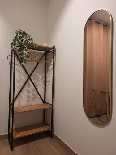 a mirror on a wall next to a shelf with a plant at Aromas del Jiloca, la Trufa Negra in Calamocha