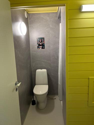 a bathroom with a white toilet in a room at Small Cozy apartment with Wi-Fi in Tjørhom