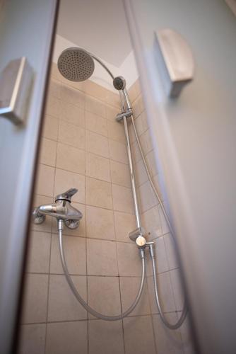 a shower in a bathroom with a shower head at Villa Ermitage in Buşteni