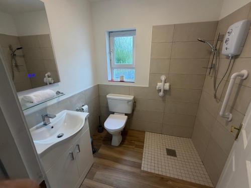 a bathroom with a toilet and a sink and a shower at Doherty,s Chalet in Doon