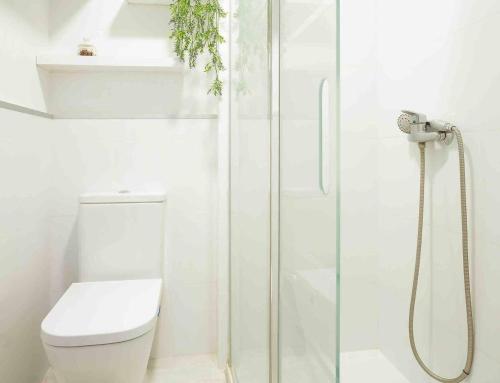 a white bathroom with a shower and a toilet at Numancia 1-1A in Las Palmas de Gran Canaria