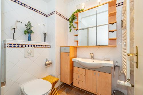 a bathroom with a toilet and a sink at Syltglück in Westerland