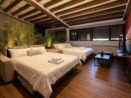 a bedroom with two beds and a couch at Vistapeña in Piedrahita