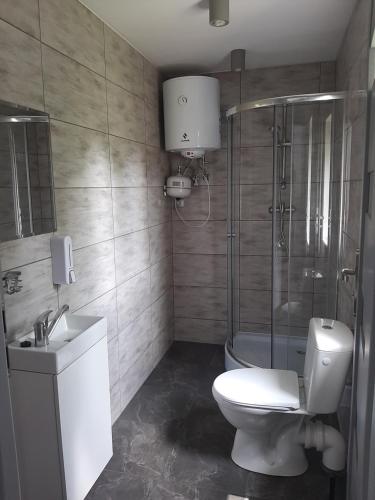 a bathroom with a shower and a toilet and a sink at Agroturystyka u Pauliny in Sąpów