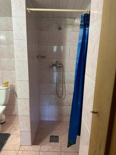 a shower with a blue shower curtain in a bathroom at River Side Retreat in Slavske