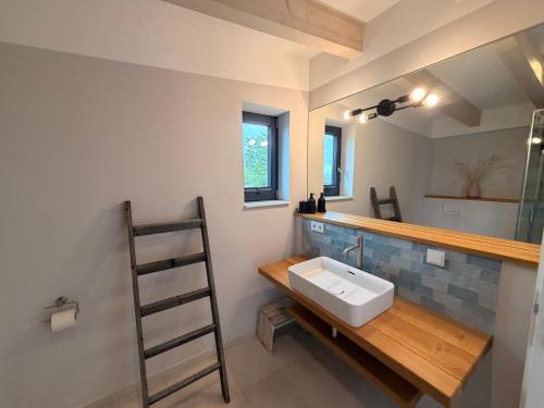 a bathroom with a sink and a ladder in it at Lilla Villa - Pá stranden - in Kellenhusen
