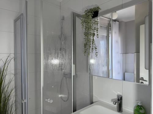 a bathroom with a shower and a sink and a mirror at Appartement Briesenick-Radde in Tossens