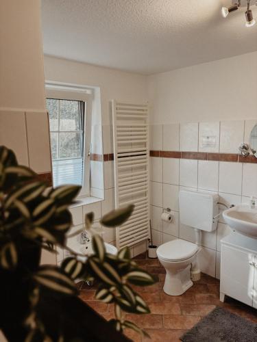 a bathroom with a toilet and a sink at Ankerplatz in Leer