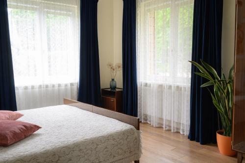 a bedroom with a bed with blue curtains and a plant at Zofija in Birštonas