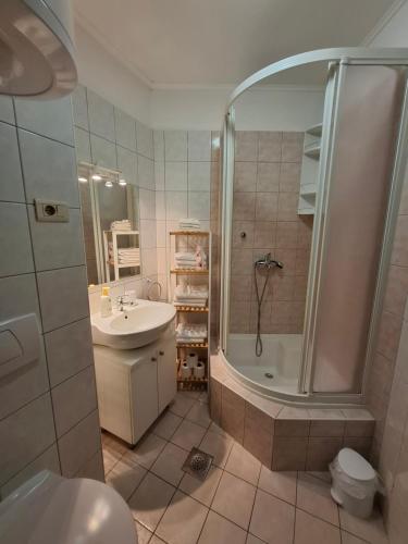 Apartment Loni