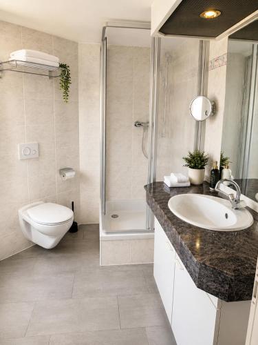 a bathroom with a sink and a toilet and a shower at Hotel zum Felsenkeller Oybin in Oybin