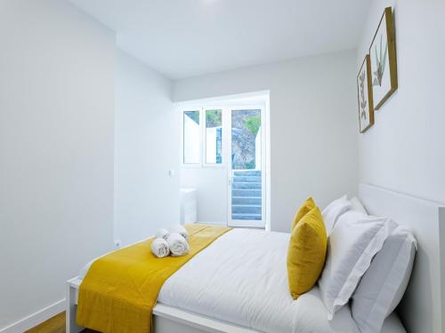 Vita Portucale ! Charming Flat with Terrace