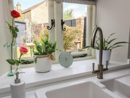 a kitchen sink with two potted plants and a window at 2 The Gardens in Lechlade