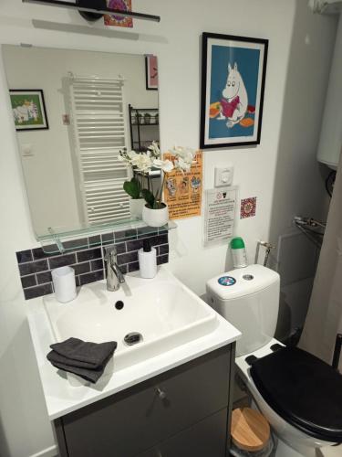 a bathroom with a sink and a toilet and a mirror at Peaceful apartment in Vierzon