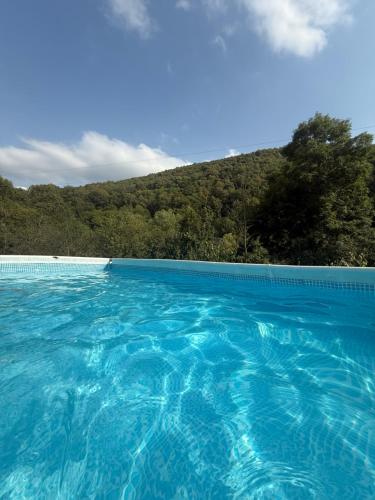a blue swimming pool with a mountain in the background at Aygut Garden in Aygut