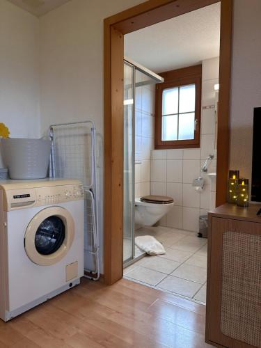 a washing machine in a bathroom with a toilet at CapoBnB, Montainview, Terrace in Aeschi bei Spiez