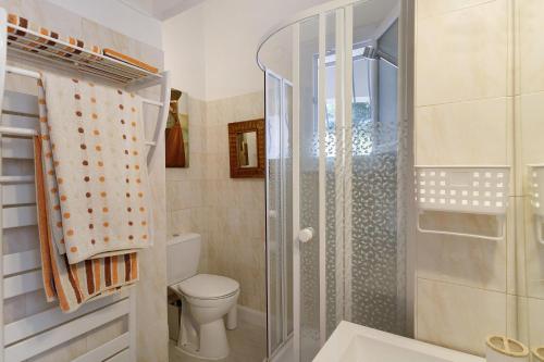 a bathroom with a shower and a toilet at Le Pape - Chambre in Porticcio