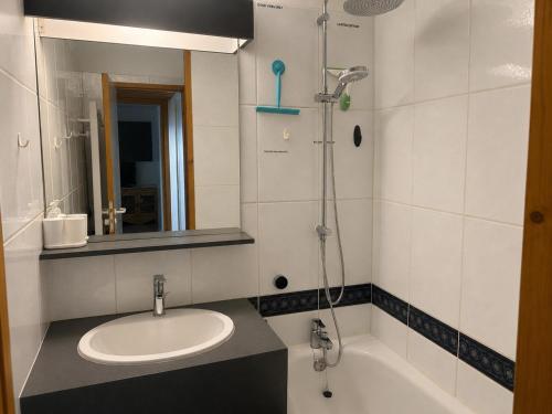 Appartement cosy proche pistes, animaux admis, balcon