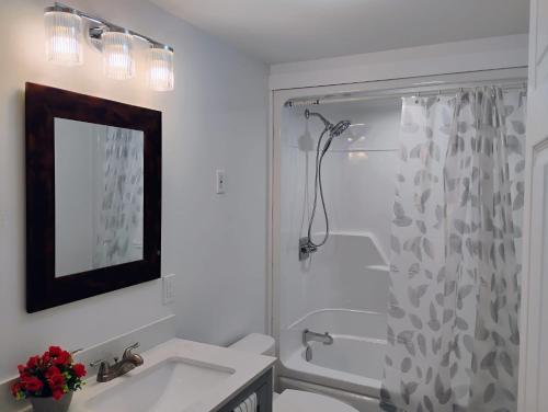 a white bathroom with a shower and a sink at Apartment in Fredericton in Fredericton