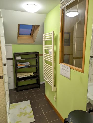 a bathroom with green walls and a mirror at Gite Les Sources in Champagney