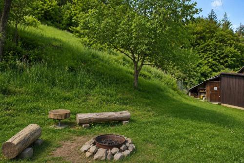 ein Park mit Feuerstelle und Bänken im Gras in der Unterkunft Only Meadow in Kolárovice