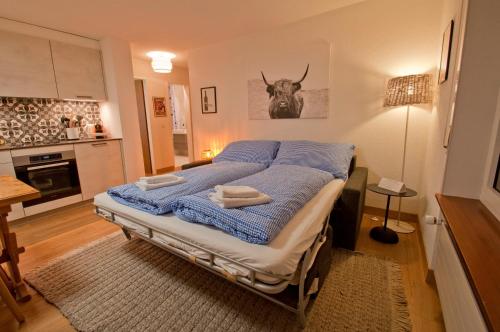 Haus Bodmen C, Apartment Grünsee
