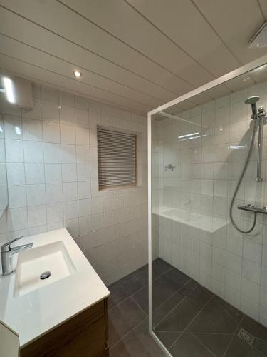 a bathroom with a shower and a sink and a glass shower at Vakantiewoning Uutbloazen in Lievelde