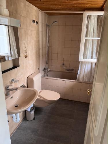 a bathroom with a sink and a toilet and a tub at Simple flat 72 m2 in the centre of Burgdorf with private parking in Burgdorf