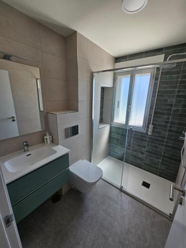 a bathroom with a toilet and a sink and a shower at Apartamentos Casa Albino in Sanxenxo