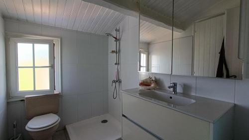 a bathroom with a sink and a toilet and a mirror at Maison Barbâtre in Barbâtre