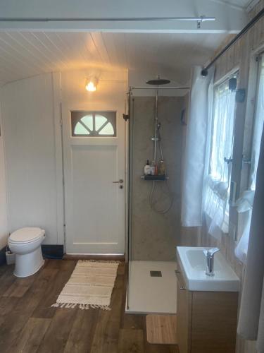 a bathroom with a shower and a toilet and a sink at Le wagon roulotte in Thorigny-sur-Marne