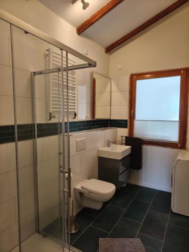 a bathroom with a toilet and a glass shower at Ferienhof Möltgen in Bosau