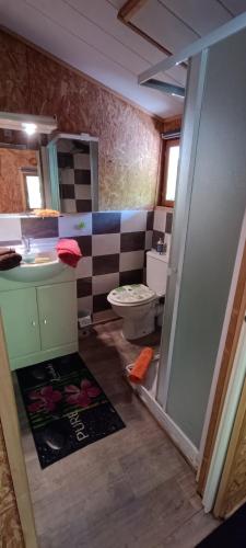 a bathroom with a toilet and a sink at Chalet de la Grave in LʼEscarène
