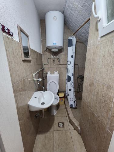 a bathroom with a toilet and a sink at Villa BITKOSKI Pestani in Peštani